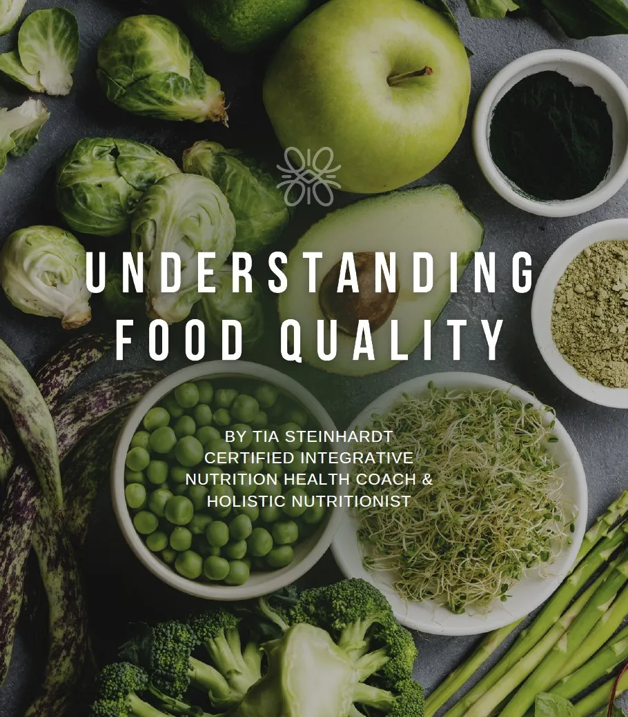 Cover of the guide Understanding Food Quality